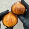 상하이 디저트 겉바속쫀 오리지날 버터떡 30g*10ea+1ea