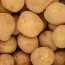 국내산 100% 고소한 26년 수미 햇감자 특 10kg (100g~150g)