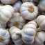 잘 건조된 국산 24년산 통마늘 2kg(특/대)