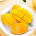 [아이스] 망고바 생과일 30개(60g*30)