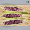 흑찰옥수수 특품 15개(껍질제거시 15cm 내외)