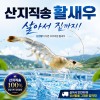 살아있는 그대로! 프리미엄 활 흰다리 활새우 500G / 4세트 / 1카톤