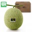 [GAP/당도보장]곡성머스크메론1P 2kg