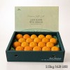 [제주하우스] 황금향 선물세트 2.5kg 16과 내외 (선물포장)