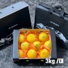 제주직송 프리미엄 황금향 선물세트 3kg - 대