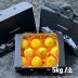 제주직송 프리미엄 황금향 선물세트 5kg - 소