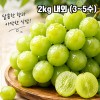 [경매선별농산물] 샤인머스켓 (경상도 김천) 2kg 내외 (3~5수)
