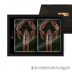 [애명작컬렉션] 랍스터 프리미엄 (2kg.2미)