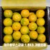 농장직송 제주하우스감귤 1.8KG 가방포함 선물세트