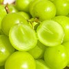 [청년농가] 산지직송 샤인머스켓 가정용 2kg(3-6수 내외)