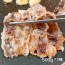[청년농가] 육즙가득 2mm 소고기 대패삼겹 500g * 1팩