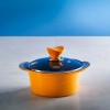 카로니 보니타 20양수