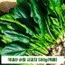국내산 손질 시금치 500g(특품)