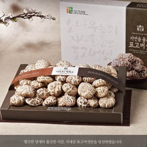 자연두레 백화고 선물세트(백화고500g)