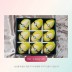 [선물세트] 골드망고 9입 (3.42kg내외)(보자기)