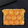 [브라이트데이] 제주 황금향 2kg 선물세트(7-11과) t26c01