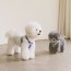 [펫츠랜드] 강아지 하네스 소형견 H형 하네스 단품 하트팝