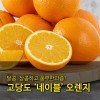 [수입과일] 호주산 고당도 네이블 오렌지 14-16과 3kg (중과)