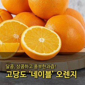 [수입과일] 호주산 고당도 네이블 오렌지 14-16과 3kg (중과)