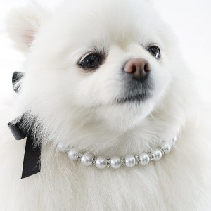 [개과천선] 메모리아 강아지 목걸이 고급 고양이 악세서리 진주 체인 블랙