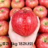 가을앤 아리수 사과 중과 4kg 18과내외
