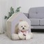 [개과천선] 프리마 삼각 강아지 하우스 사계절 텐트 고양이 숨숨집