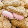 [청년농가] 예천 햇 황토땅콩 1kg