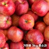 26년 햇 빨간사과 홍로 사과 가정용 3kg 중소과 16과 내외