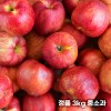 26년 햇 빨간사과 홍로 사과 정품 3kg 중소과 16과 내외 (개별망)