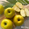 26년 고당도 달콤아삭 사과 시나노골드 중과 2kg 11과 내외
