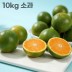 26년 제주직송 극조생 노지감귤 10kg 소과