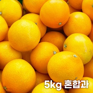 26년 제주직송 노란빛 제주 못난이 황금향 5kg 혼합과