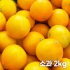 26년 제주직송 노란빛 제주 하우스 황금향 소과 2kg