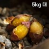 여주 햇고구마 비세척 꿀고구마 베니하루카 5kg 대