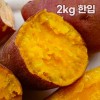 해남 직송 호박고구마 2kg 한입