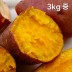 해남 직송 호박고구마 3kg 중