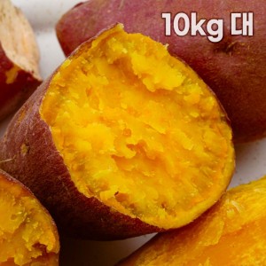 해남 직송 호박고구마 10kg 대
